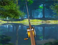 Forest Lake Fishing